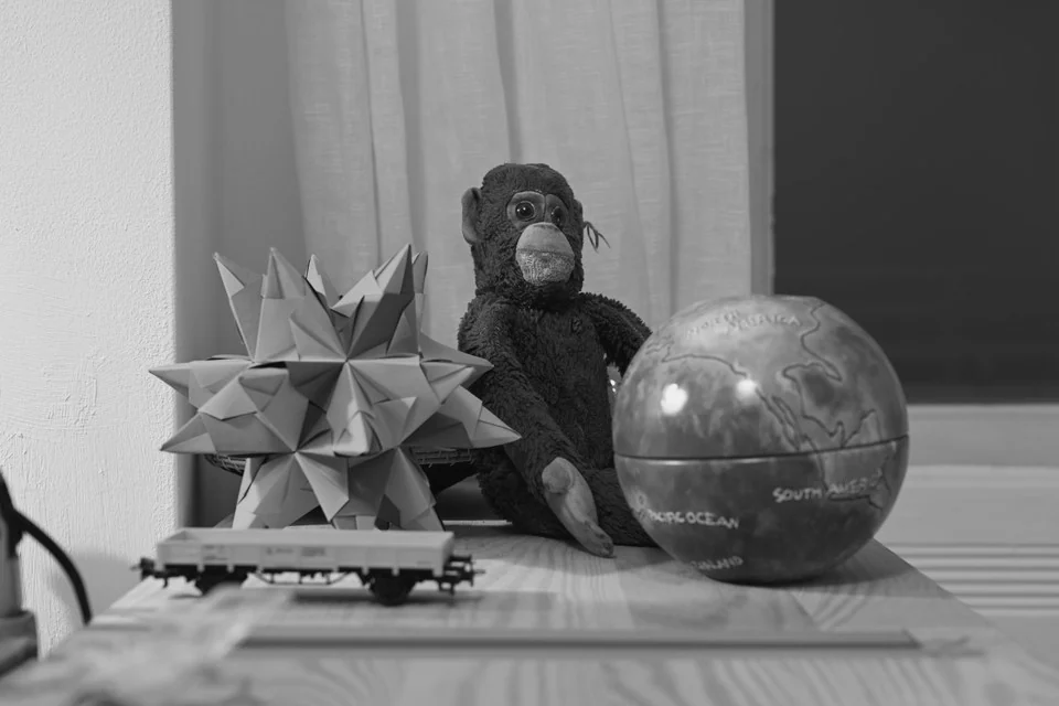 Still Life, with Soft B&W