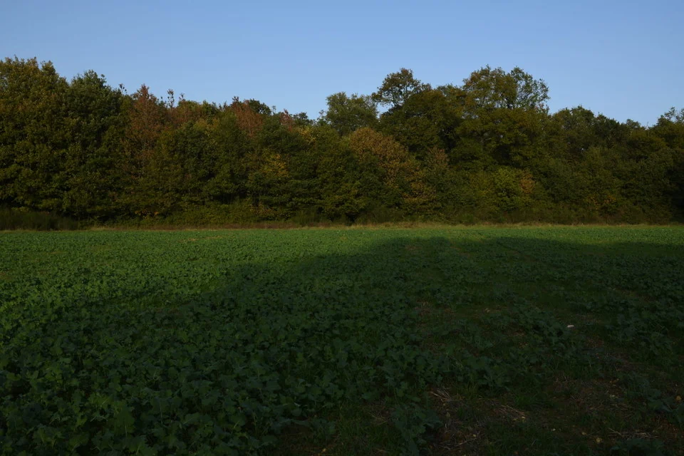Field, before the preset